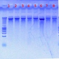 Thumbnail for version as of 11:51, 24 August 2012