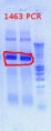 Thumbnail for version as of 16:49, 3 December 2012