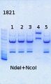 Thumbnail for version as of 10:53, 15 August 2013