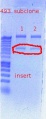 Thumbnail for version as of 14:30, 15 November 2011
