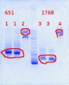 Thumbnail for version as of 14:55, 16 July 2013