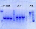 Thumbnail for version as of 17:22, 1 August 2014