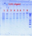 Thumbnail for version as of 15:38, 5 July 2012