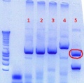 Thumbnail for version as of 14:32, 24 August 2012