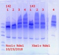 Thumbnail for version as of 12:49, 27 October 2018