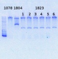 Thumbnail for version as of 18:05, 13 August 2013
