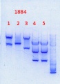 Thumbnail for version as of 10:59, 24 October 2013