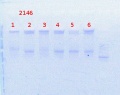 Thumbnail for version as of 15:17, 17 April 2014