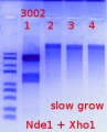 Thumbnail for version as of 13:57, 29 September 2017