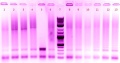 Thumbnail for version as of 17:25, 30 October 2012