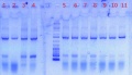 Thumbnail for version as of 15:24, 9 May 2012
