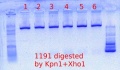 Thumbnail for version as of 14:57, 24 May 2012