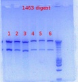 Thumbnail for version as of 10:29, 27 November 2012