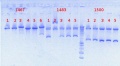 Thumbnail for version as of 16:06, 5 December 2012