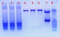 Thumbnail for version as of 14:25, 15 August 2011
