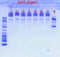 Thumbnail for version as of 15:44, 17 May 2012