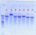 Thumbnail for version as of 16:25, 30 July 2012