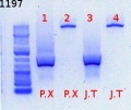 Thumbnail for version as of 17:07, 7 June 2012