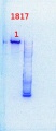 Thumbnail for version as of 16:17, 7 August 2013