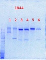 Thumbnail for version as of 11:34, 11 September 2013