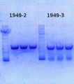 Thumbnail for version as of 15:19, 6 December 2013