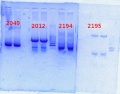 Thumbnail for version as of 15:36, 6 May 2014