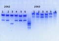 Thumbnail for version as of 16:55, 20 February 2014