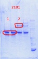 Thumbnail for version as of 12:05, 11 April 2014