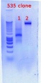 Thumbnail for version as of 14:56, 30 January 2012
