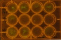 Thumbnail for version as of 10:42, 22 January 2014