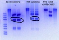 Thumbnail for version as of 14:46, 13 July 2018