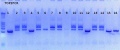 Thumbnail for version as of 16:36, 15 November 2012