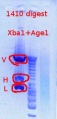 Thumbnail for version as of 18:10, 3 October 2012