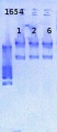 Thumbnail for version as of 12:06, 20 March 2013