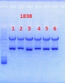Thumbnail for version as of 15:56, 13 September 2013