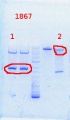 Thumbnail for version as of 16:11, 20 September 2013