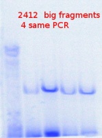 RTENOTITLE