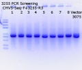 Thumbnail for version as of 15:14, 17 August 2018