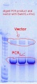 Thumbnail for version as of 18:32, 31 August 2011