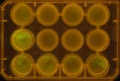 Thumbnail for version as of 11:31, 30 November 2011