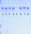 Thumbnail for version as of 12:10, 22 August 2014