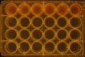 Thumbnail for version as of 15:37, 15 April 2016