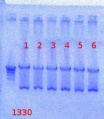 Thumbnail for version as of 13:57, 24 August 2012