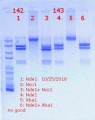Thumbnail for version as of 12:46, 27 October 2018