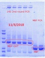 Thumbnail for version as of 00:10, 6 November 2018