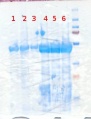 Thumbnail for version as of 16:39, 9 January 2013