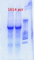 Thumbnail for version as of 17:03, 15 February 2013