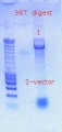 Thumbnail for version as of 14:57, 21 November 2011