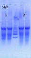 Thumbnail for version as of 16:44, 26 April 2013