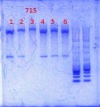 Thumbnail for version as of 11:56, 28 January 2014